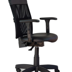 Poltrona Giratória Diretor Sun com Backsystem