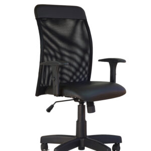 Poltrona Giratória Diretor Sun